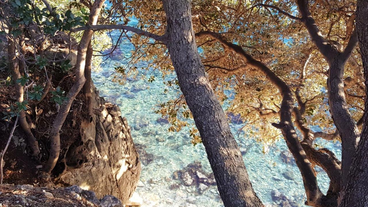 Apartments Adriatic 塞尔瑟 外观 照片